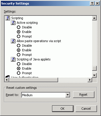 Example of the Custom Level Security Options window for enabling JavaScript