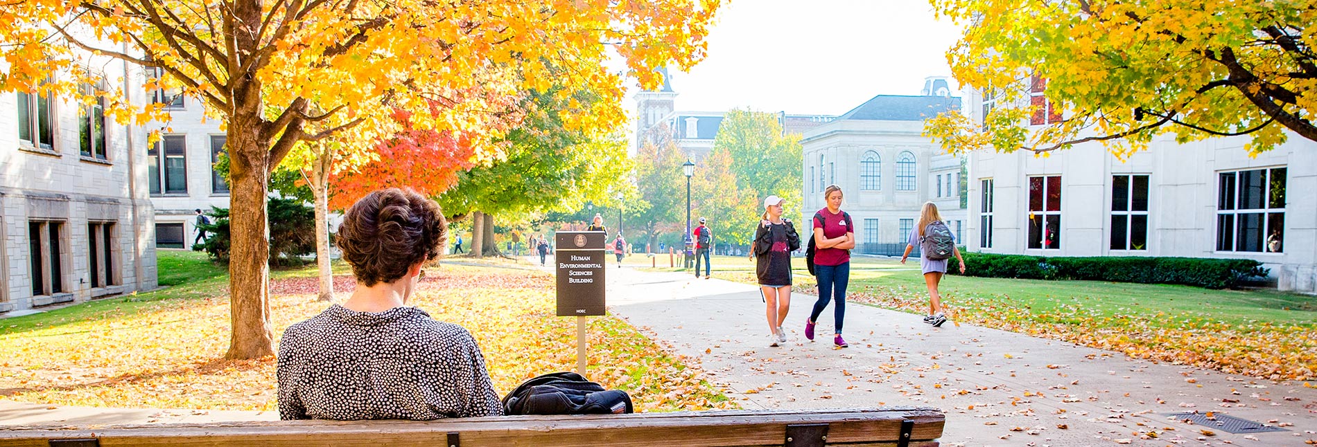 Campus walkway lined with autumn trees and historic buildings, students walking and sitting on benches under fall foliage.