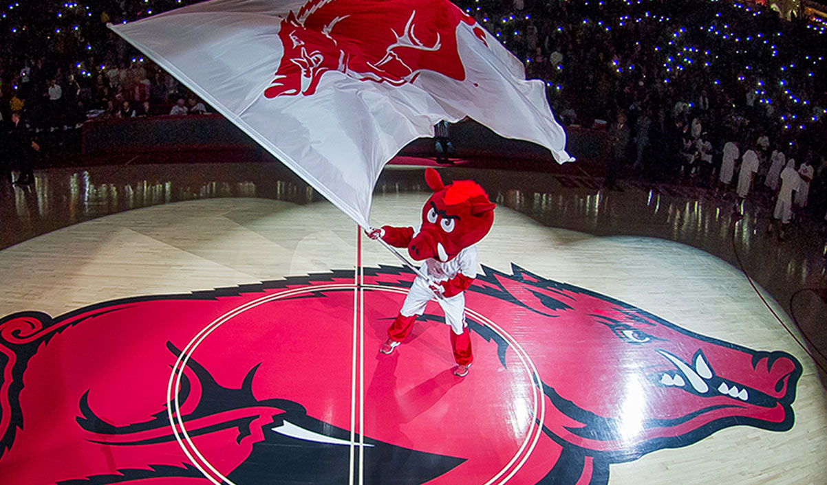 Photo of Razorback Mascot