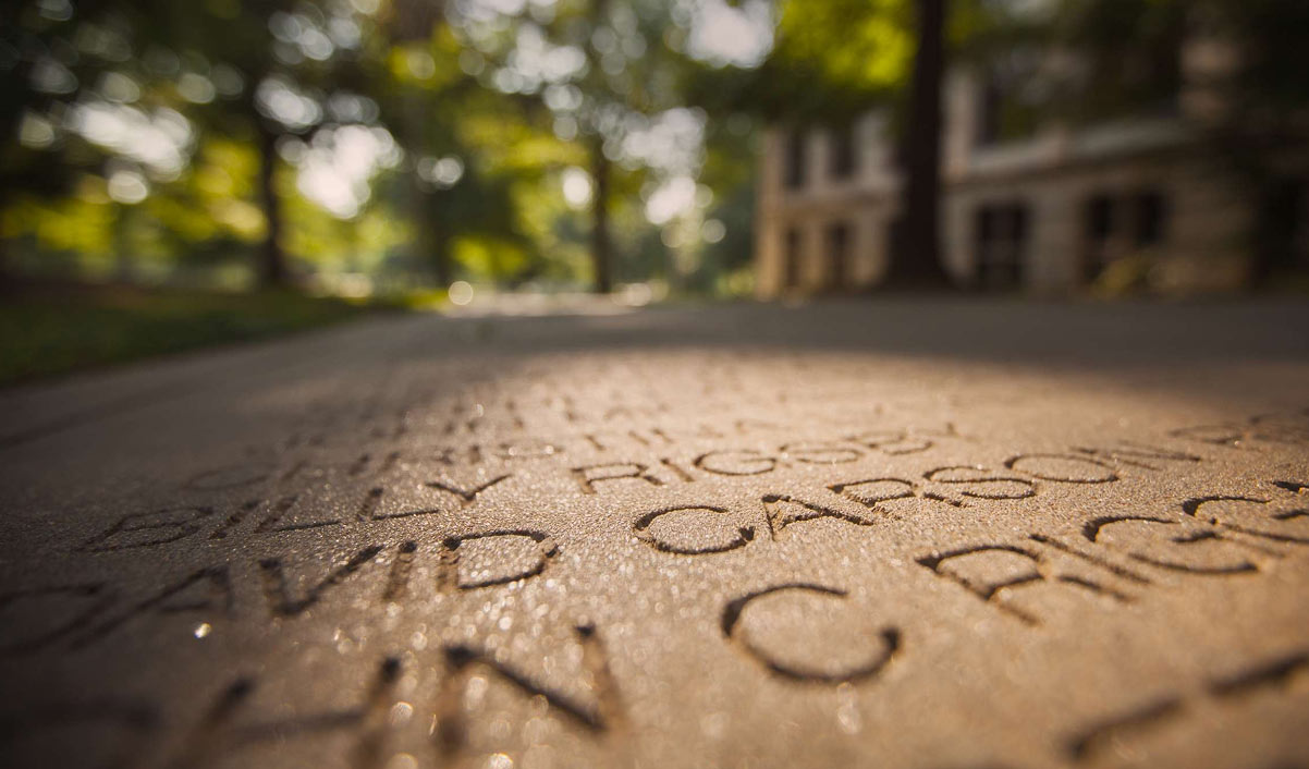 Photo of Senior Walk