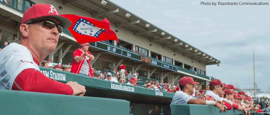 Razorback Baseball