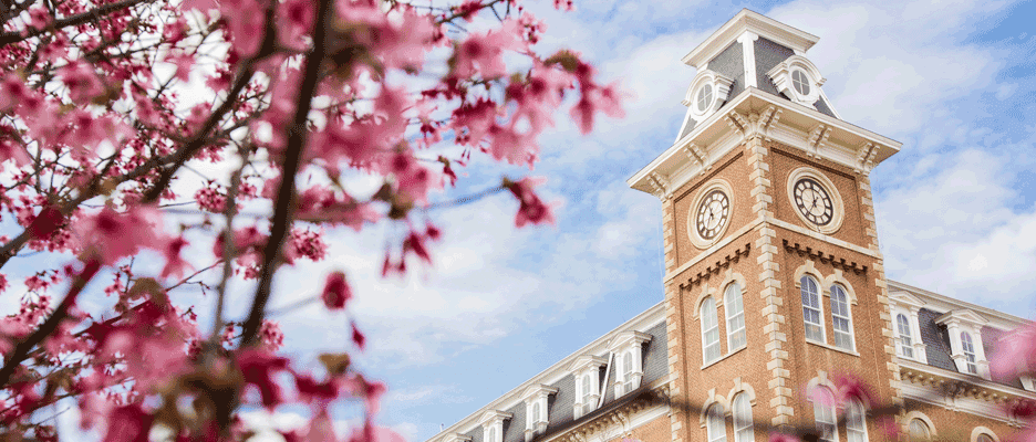 university of arkansas tour